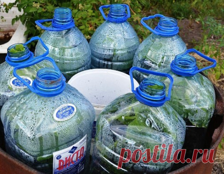 Огурцы в бутылках — удобно и выгодно