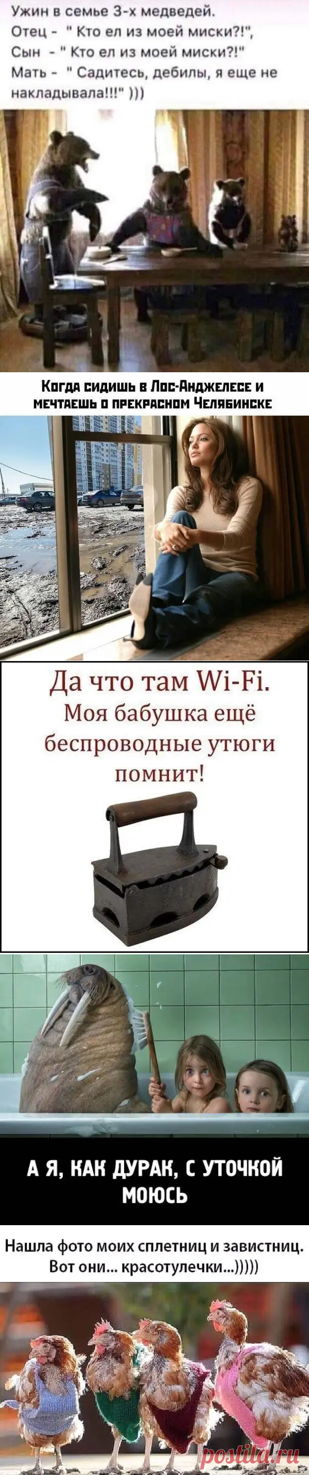 О жизни с юмором