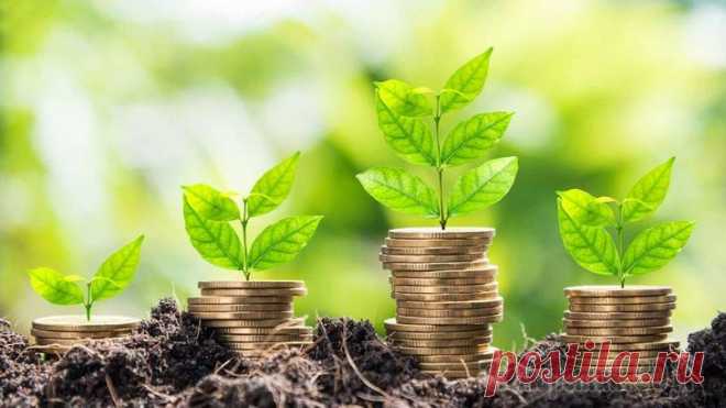 Поиск ICO для инвестиций: где искать и какие способы доступны рядовому инвестору Участие в ICO – один из наиболее популярных способов инвестирования в криптовалюту. И порой наиболее прибыльный. В ходе краудсейла можно выгодно купить монеты, которые после выхода на криптовалютные б...