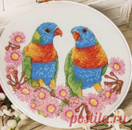 Parrot hoop. Скачать схему вышивки крестиком — Дом крестика
