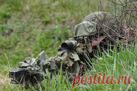 Российский снайпер рассказал о ликвидации украинского корректировщика. Российский снайпер с позывным «Альфа» рассказал о ликвидации украинского корректировщика, который следил за передвижением российских войск в Марьинке Донецкой народной республики (ДНР). Военный рассказал, что они с напарником обнаружили цель и увидели тепловую сигнатуру в проеме двери.