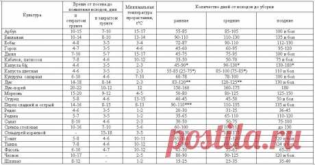 Всхожесть семян, сроки всходов и созревания овощей