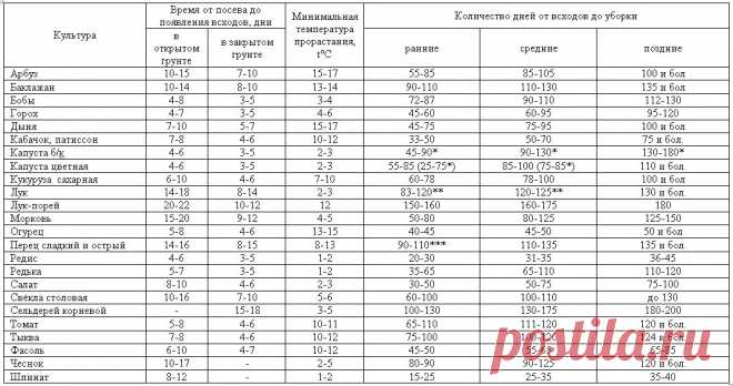 Всхожесть семян, сроки всходов и созревания овощей