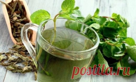 Рецепты лечения рака от Отца Георгия