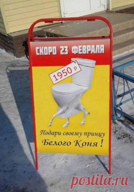 Маразмы месяца