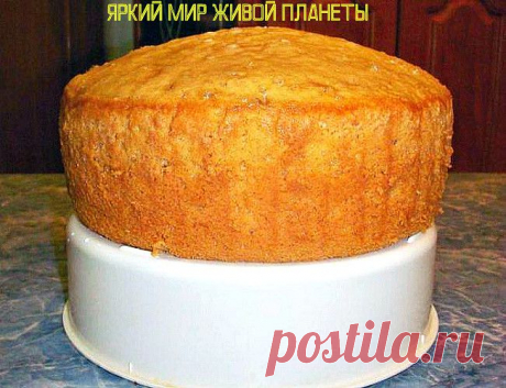 Бисквит на любом лимонаде с газом