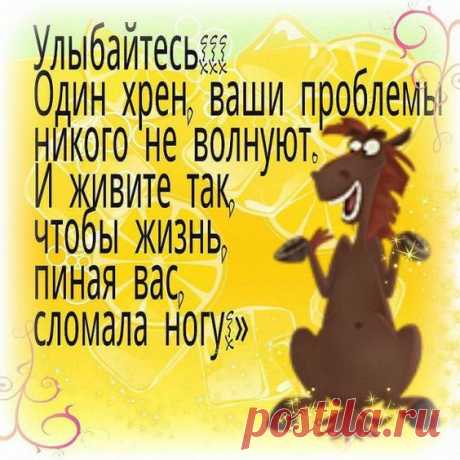 Если вы в лесу встретили медведя, клещей уже не стоит бояться.