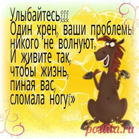 Если вы в лесу встретили медведя, клещей уже не стоит бояться.