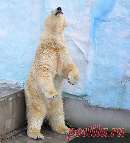 тт