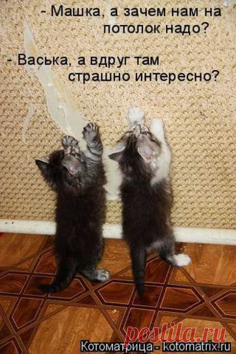 чем бы дитя не тешилось...