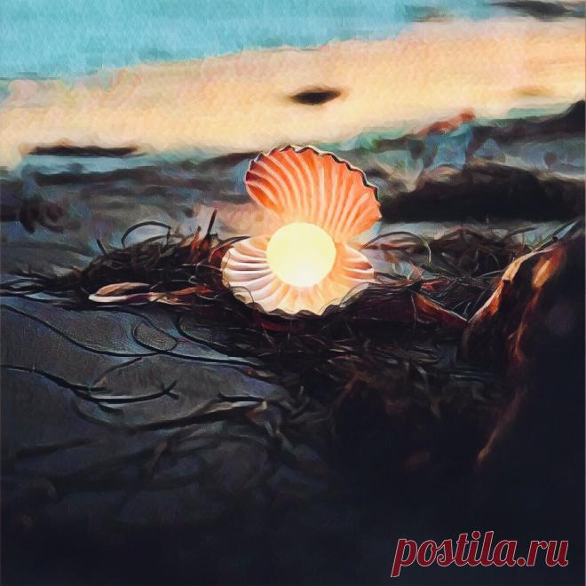 Как себя вести с человеком, который на тебя кричит и морально давит: простая техника поможет повернуть ситуацию в свою пользу | Просто Лю | Яндекс Дзен