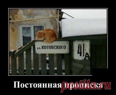 Хорошего настроения от просмотра очередной подборки демотиваторов.