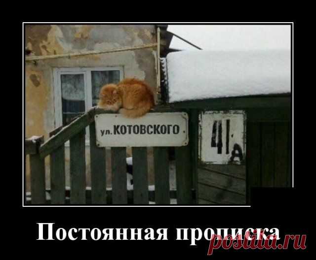 Хорошего настроения от просмотра очередной подборки демотиваторов.