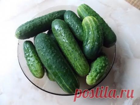 МАЛОСОЛЬНЫЕ ОГУРЧИКИ ЗА ПЯТЬ МИНУТ - YouTube