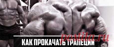 Мощный тренинг трапеции. - Мужской журнал JK Men's Мощнейший тренинг трапеции Если ты не видишь их в зеркале, это не значит, что их не существует. Вы когда-нибудь встречали