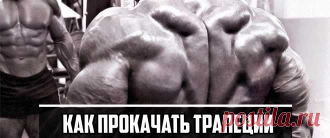 Мощный тренинг трапеции. - Мужской журнал JK Men's Мощнейший тренинг трапеции Если ты не видишь их в зеркале, это не значит, что их не существует. Вы когда-нибудь встречали
