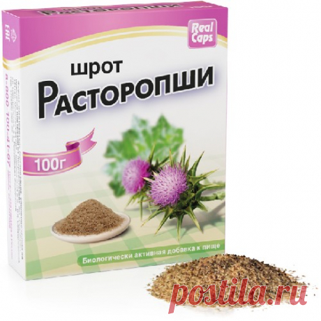 Расторопша шрот 100 гр/реалкапс/ - цена 74 руб., купить в интернет аптеке в Краснодаре Расторопша шрот 100 гр/реалкапс/, инструкция по применению