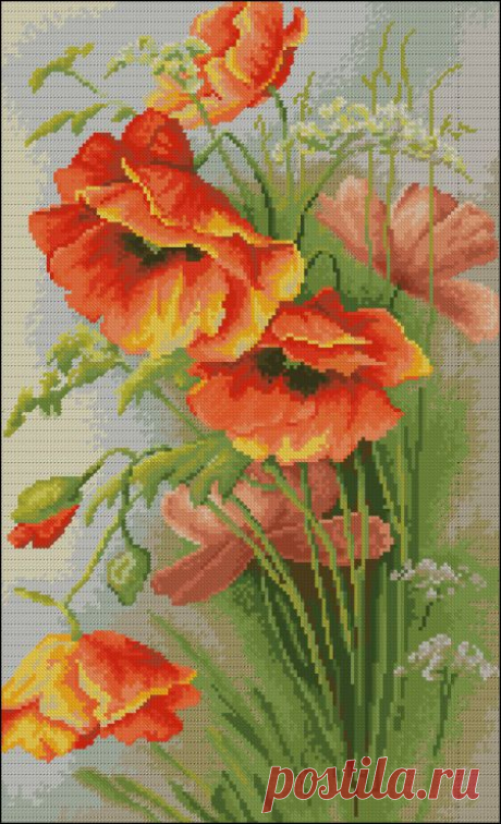 Gallery.ru / Фото #9 - Cervene maky - zuzas