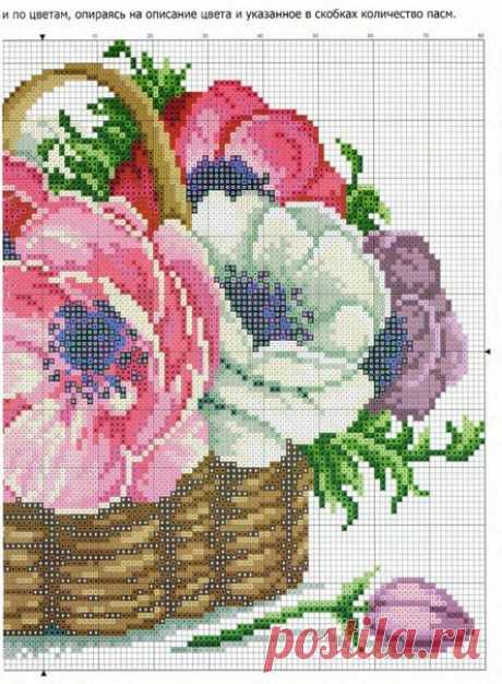 (13) Pinterest