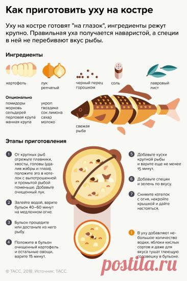 Как приготовить уху на костре