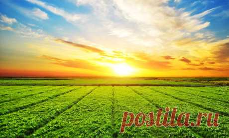 ЗАКАЗАТЬ НА НЕБЕ СОЛНЦЕ? – ЛЕГКО!
К дню рождения сына Лидия готовилась основательно. Все-таки, не каждый год круглая дата – 10 лет! К тому же, сын был единственный, обожаемый, и она была готова сделать все возможное, чтобы юбилей запомнился. Вообще, любое событие – это совокупность энергии и информации. Когда какого-то компонента нет, возникает проблема. Например, когда мы чего-то хотим, но при […]
Читай пост далее на сайте. Жми ⏫ссылку выше