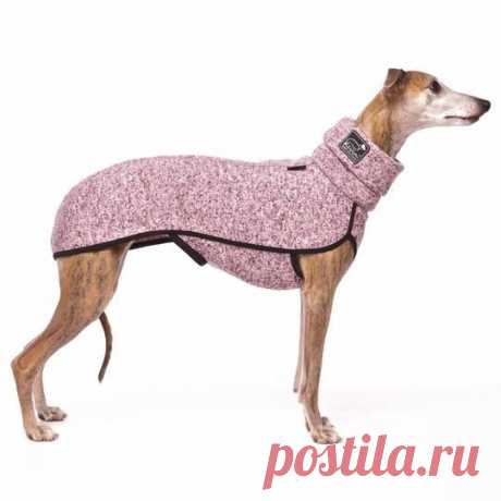 Тёплые вещи для собак