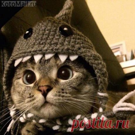 Шапочка для Васеньки