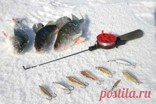 Ловля на блесну зимой - снасти, места ловли, игра приманкой | GOFISHING CLUB | Яндекс Дзен
