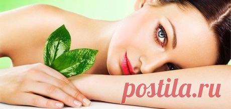 10 средств эффективной дешёвой экокосметики