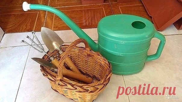 ОТЛИЧНЫЙ САМОДЕЛЬНЫЙ СОСТАВ ОТ БОЛЕЗНЕЙ РАСТЕНИЙ!