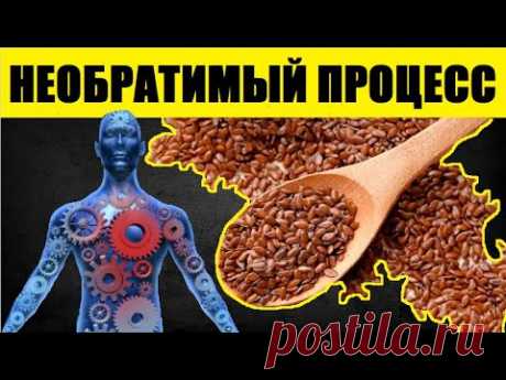 Даже Ложка Семян Льна в День Вызывает Необратимый Процесс в Организме. Вот Что ЛЁН Делает с Нами