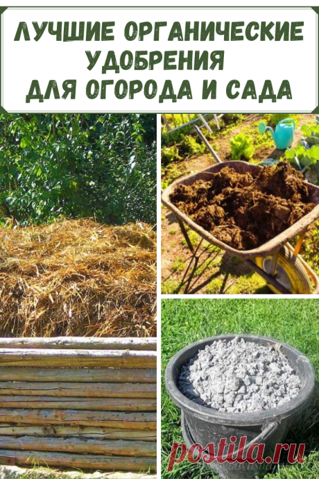 Использование удобрений для огорода и сада позволяет не только повысить урожайность, но и улучшить вкусовые характеристики. Для Вас список лучших органических удобрений для огорода.