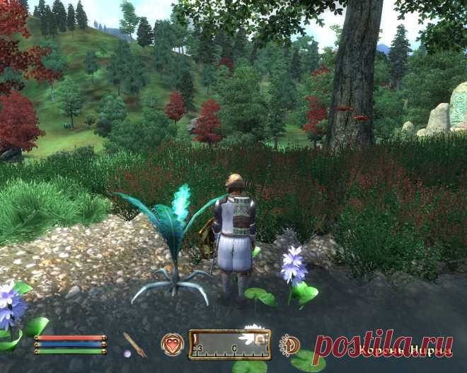Гигантский корень Нирна (Giant Nirnroot), ничем, кроме размера, от обычного не отличающийся. Но выглядит забавно. В игре их два экземпляра. Этот находится на берегу озерка к северо-западу от Скинграда, примерно в том месте, где на карте отображается буква «к» в его названии.
Giant Nirnroot, no different from a usual one except for its size. But it looks funny. There are two of them in the game. This one is located on the shore of a lake northwest of Skingrad, approximately where the map shows