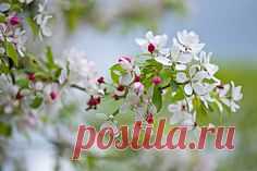 Pinterest • Всемирный каталог идей