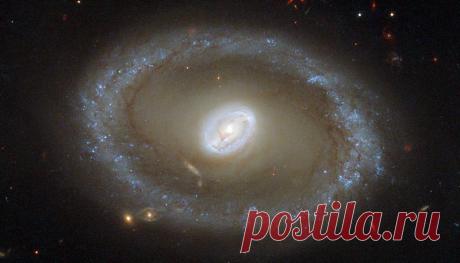 Все, что нужно знать об эффекте плацебо