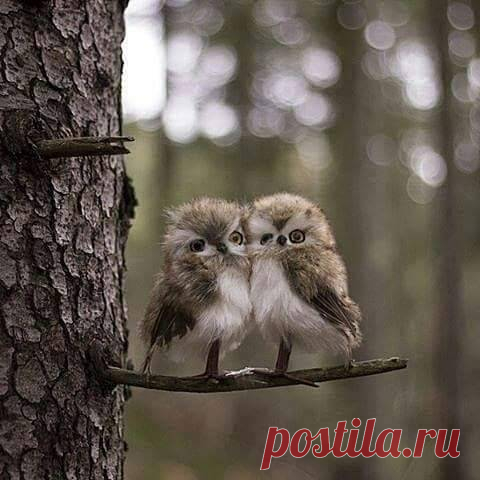 (20+) Carmo Martins | Facebook