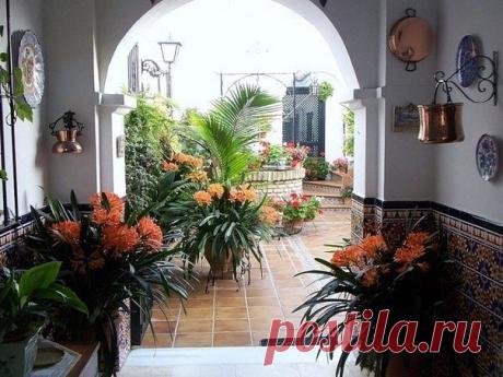 Закрытые дворики Кордовы (Испания)

Ко́рдова — город в Андалусии (южная Испания), на склоне отрога Сьерры-Морены, на правом берегу Гвадалквивира, в плодородной, очень жаркой местности.