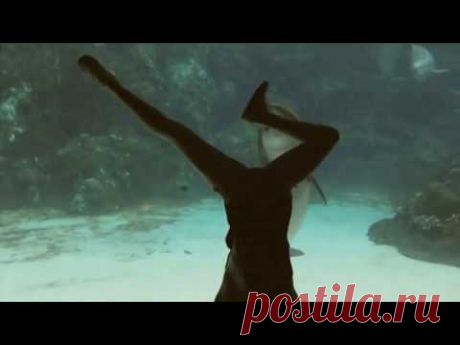 Забавная реакция дельфина на девушку-акробатку