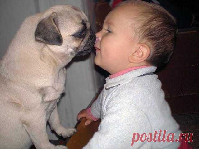Эти забавные животные!
Владимир Фролов