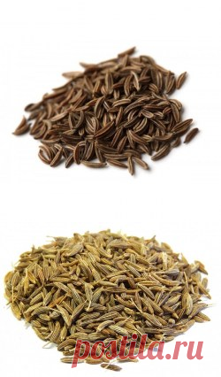 Зира (Кумин) купить в Москве | Шеф Орех