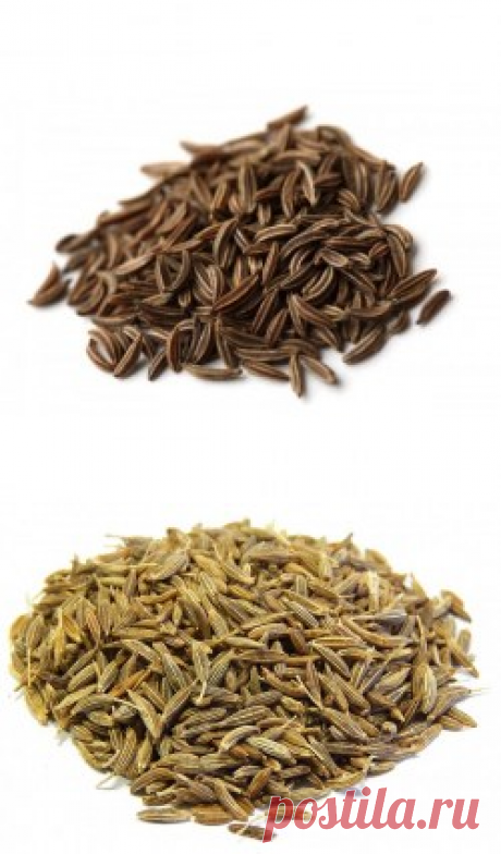Зира (Кумин) купить в Москве | Шеф Орех