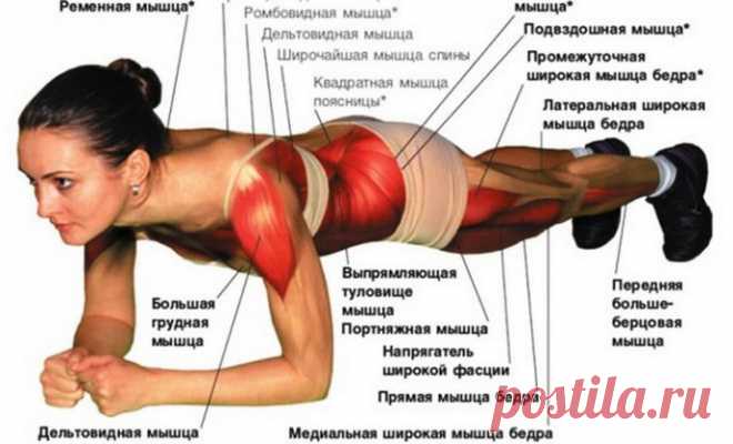 ПОЧЕМУ НУЖНО ДЕЛАТЬ ПЛАНКУ Планка — прекрасное упражнение для тренировки всего тела. Оно укрепляет мышцы спины, пресса, ног и рук, улучшает гибкость, осанку и чувство равновесия.



Это универсальное упражнение можно делать дома или в тренажёрном зале, в отпуске или после работы, утром или вечером, в спортивной экипировке