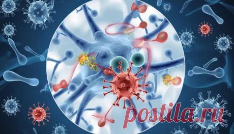 Виды иммунитета: классификация, таблица и их проявления в организме