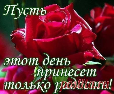 Интересные новости