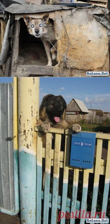 Жизнь в русской деревне