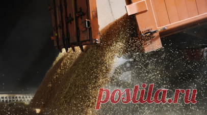 Президент Мали поблагодарил Россию за поставки зерна. Мали выразила благодарность России за поставки зерна. Как сообщил президент переходного периода Ассими Гоита, страна ценит поддержку Москвы. Читать далее