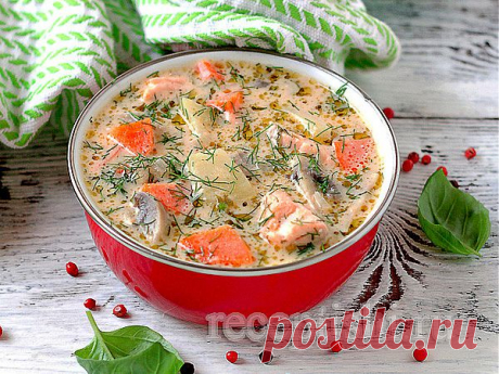 Сырный суп с форелью и грибами | Кулинарные рецепты с фото на Рецептыши.ру