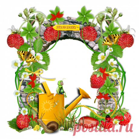 Летний клипарт