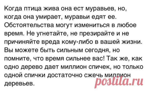 Одинокий волк