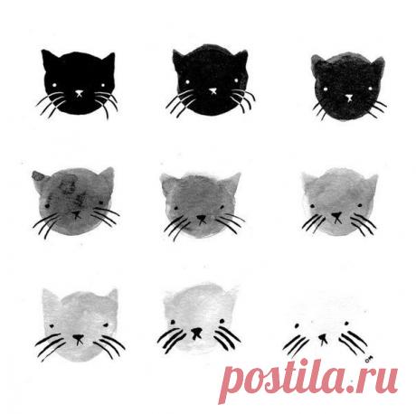 9 оттенков кош / Занимательная реклама